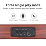D10 Bluetooth 4.2 Portable Wooden Handheld Bluetooth Speaker - Image 4