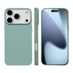 For iPhone 17 Pro Max Liquid Silicone Phone MagSafe Case(Light Green)