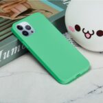 For iPhone 15 Pro Max Solid Color Silicone Phone Case(Green) - Image 6
