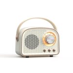 DW21 Vintage Radio BT Speaker Support TF Card/U Disk to P...