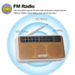 Rolton E500 Portable Bluetooth Speaker with FM Radio and Microphone - Image 5