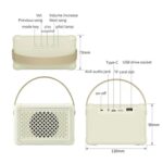 Mini Karaoke Bluetooth Speaker with Optional Microphones, 66 mm Driver - Image 3