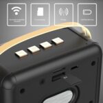 FT-BT20 Retro Bluetooth Speaker with FM Radio, USB and Card Player - Image 4